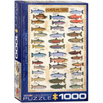 Eurographics Salmon and Trout