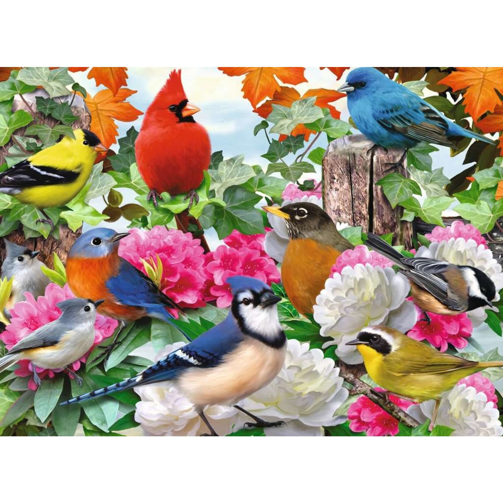 Ravensburger Garden Birds
