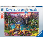 Ravensburger Tigers in Paradise