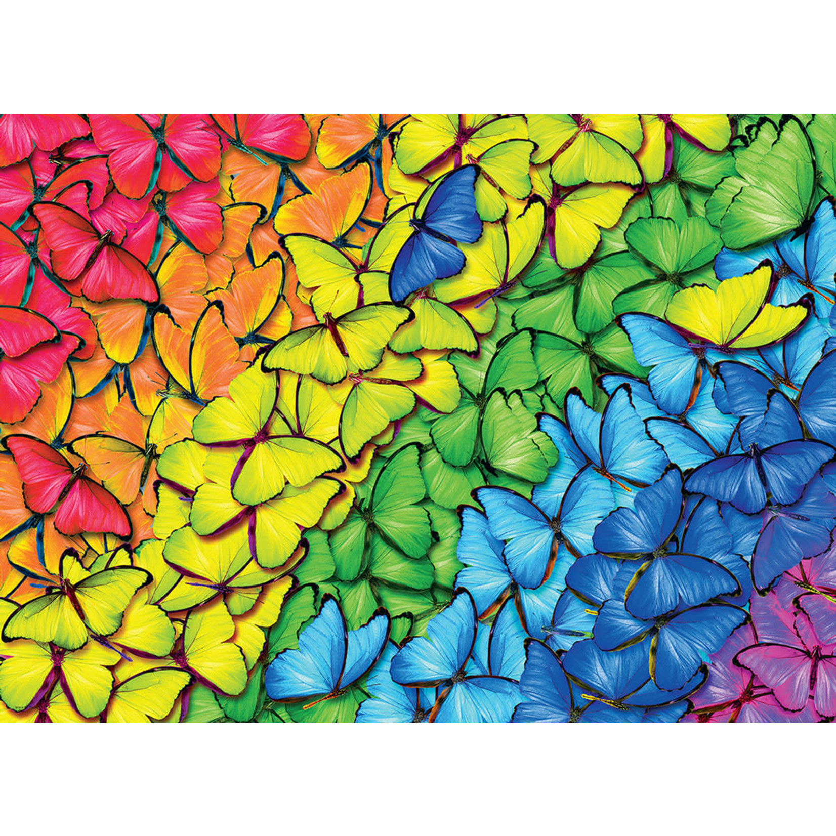 Eurographics Butterfly Rainbow