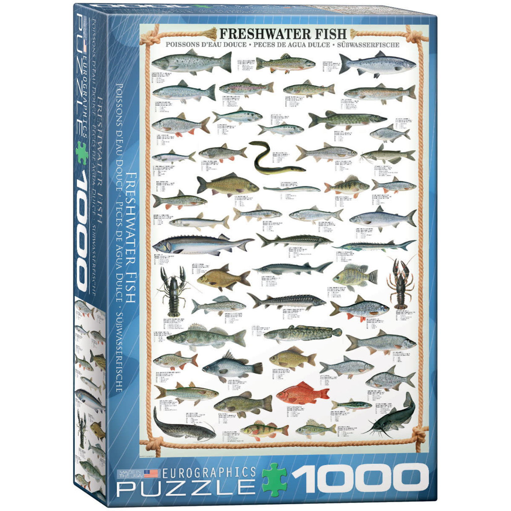 Eurographics Freshwater Fish