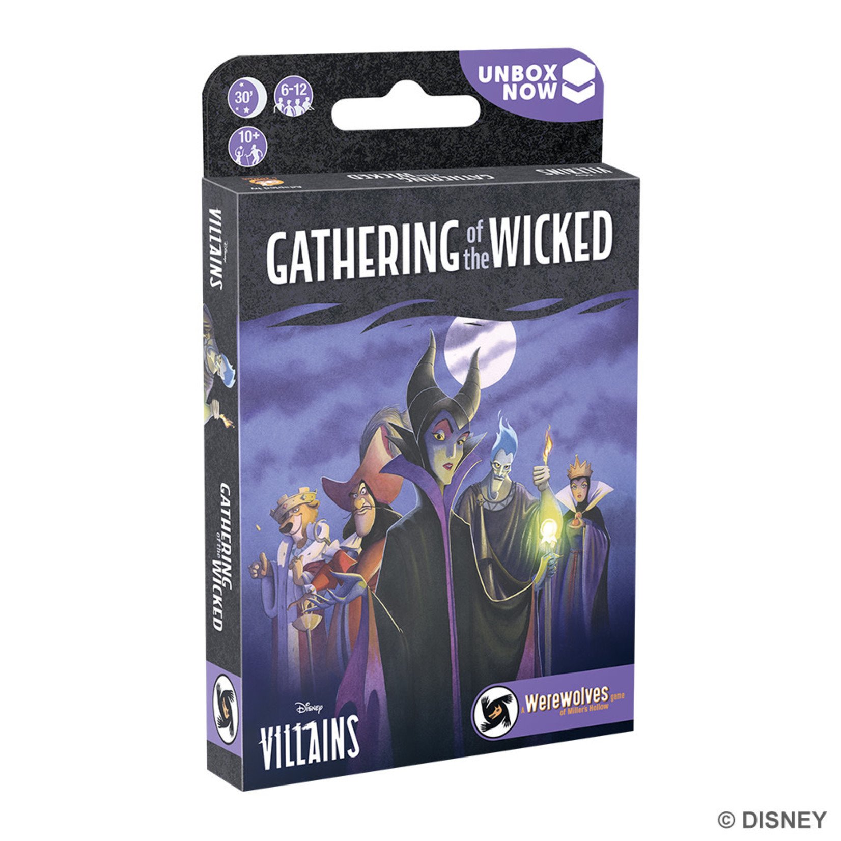 Disney Villians Gathering of the Wicked
