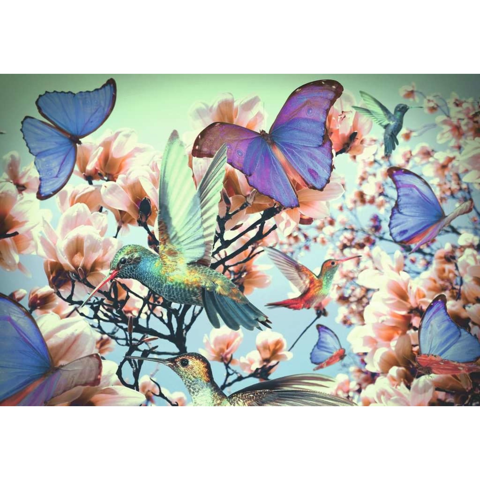 Ravensburger Hummingbird Puzzle Moment