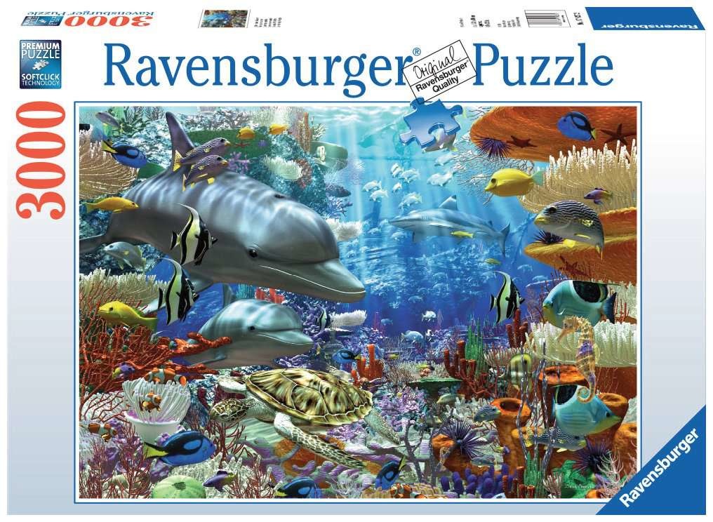 Ravensburger クイップス o7r6kf1 Amazon.co.jp: Ravensburger クイップス : Toys & Games