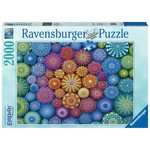 Ravensburger Radiating Rainbow Mandalas