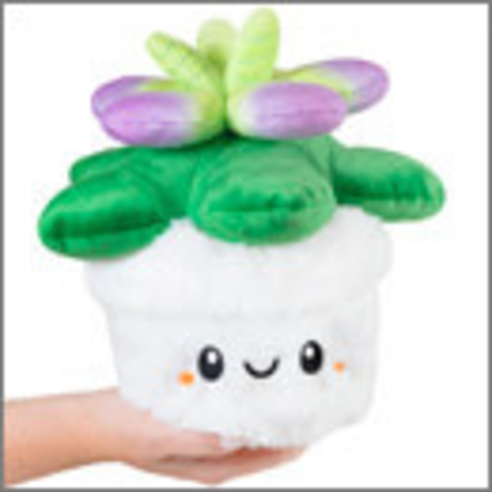 Squishable Mini Succulent Squishable