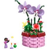 Image Preview