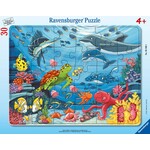 Ravensburger 24 pc Frame Puzzle