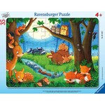 Ravensburger 35 pc Frame Puzzle