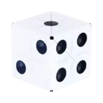 Fun In Motion Shashibo Renaissance