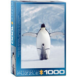 Eurographics Penguin & Chick