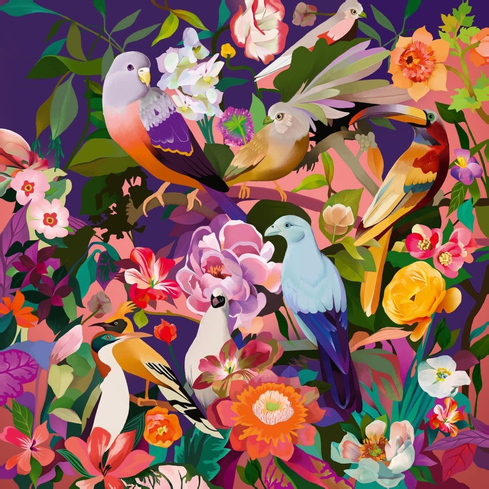 Ravensburger Bird Watching