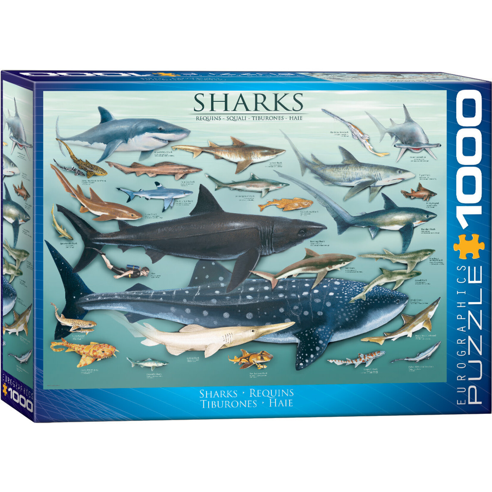 Eurographics Sharks