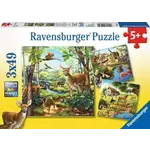 Ravensburger Forest/Zoo/Domestic Animals