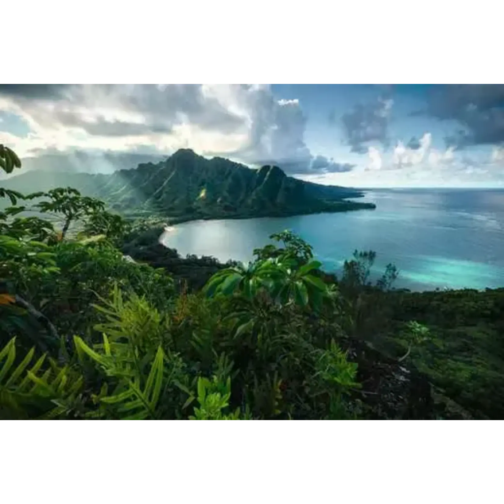 Ravensburger Hawaiian Viewpoint