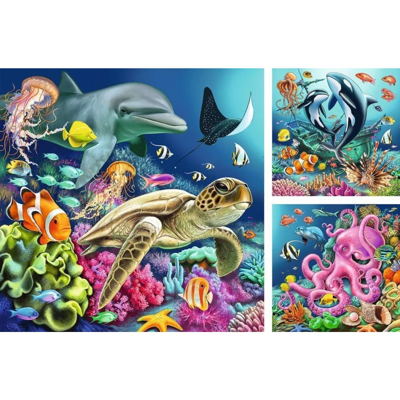 Ravensburger Underwater