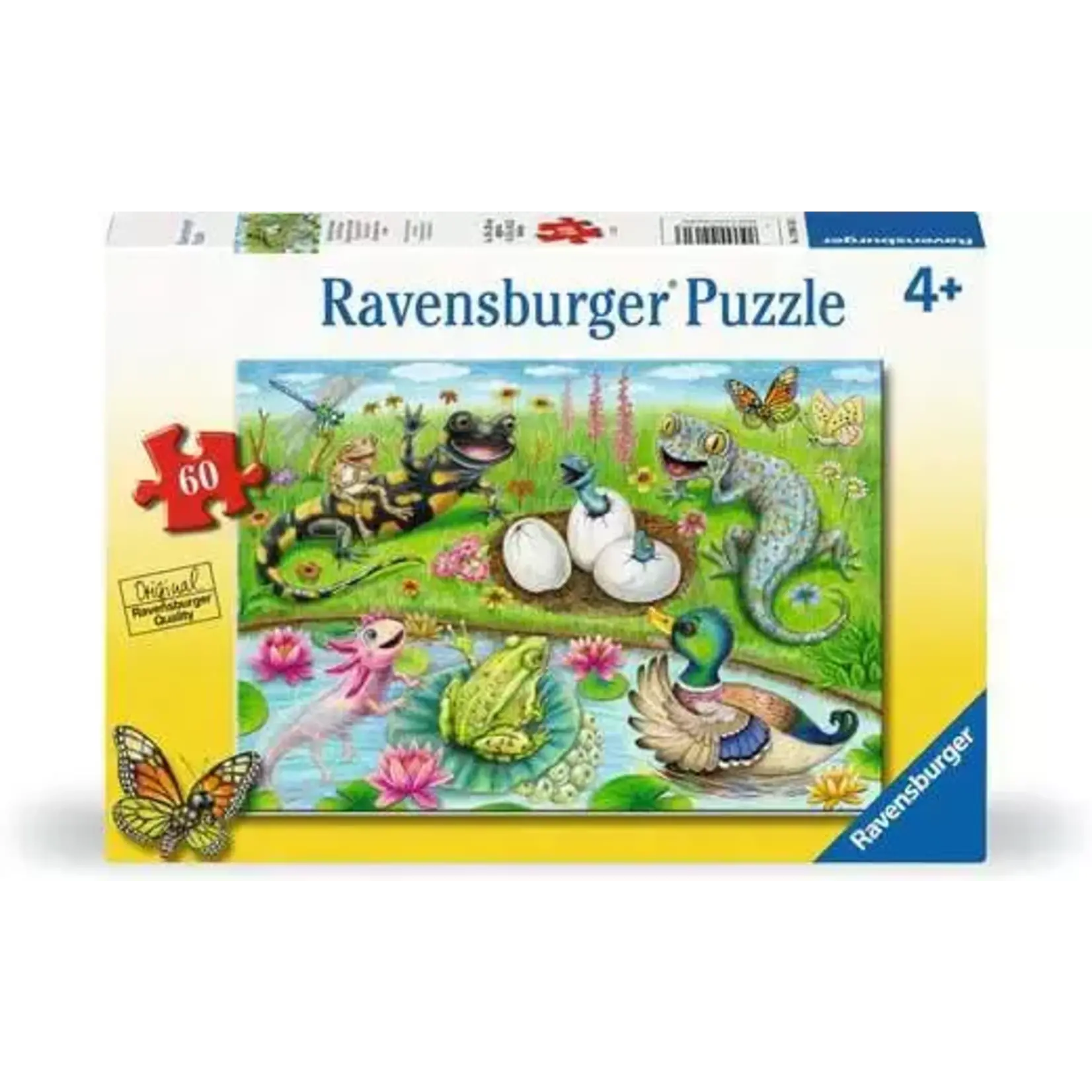 Ravensburger Hello Hatchlings