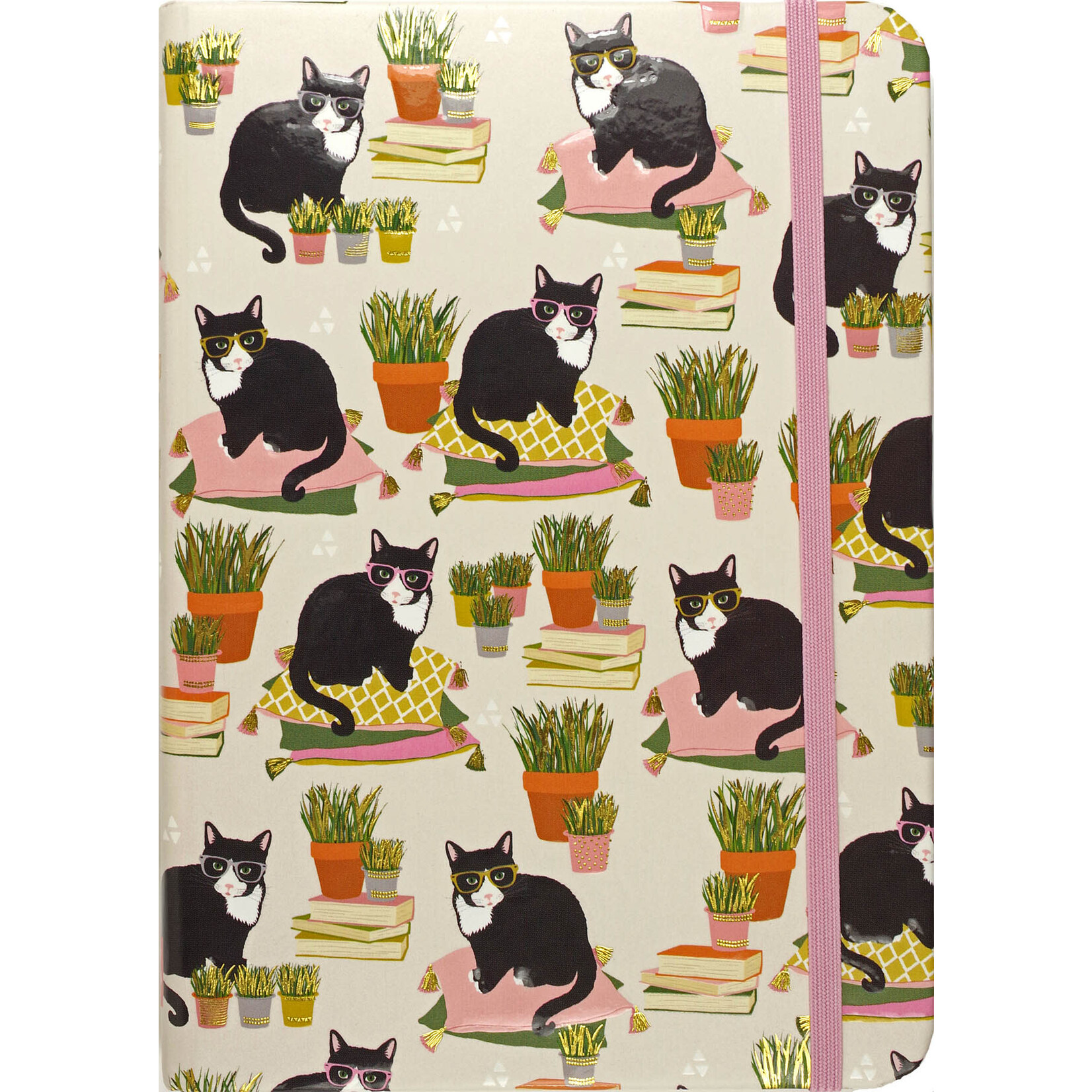 Peter Pauper Press Smarty Cats Journal