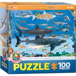Eurographics Sharks