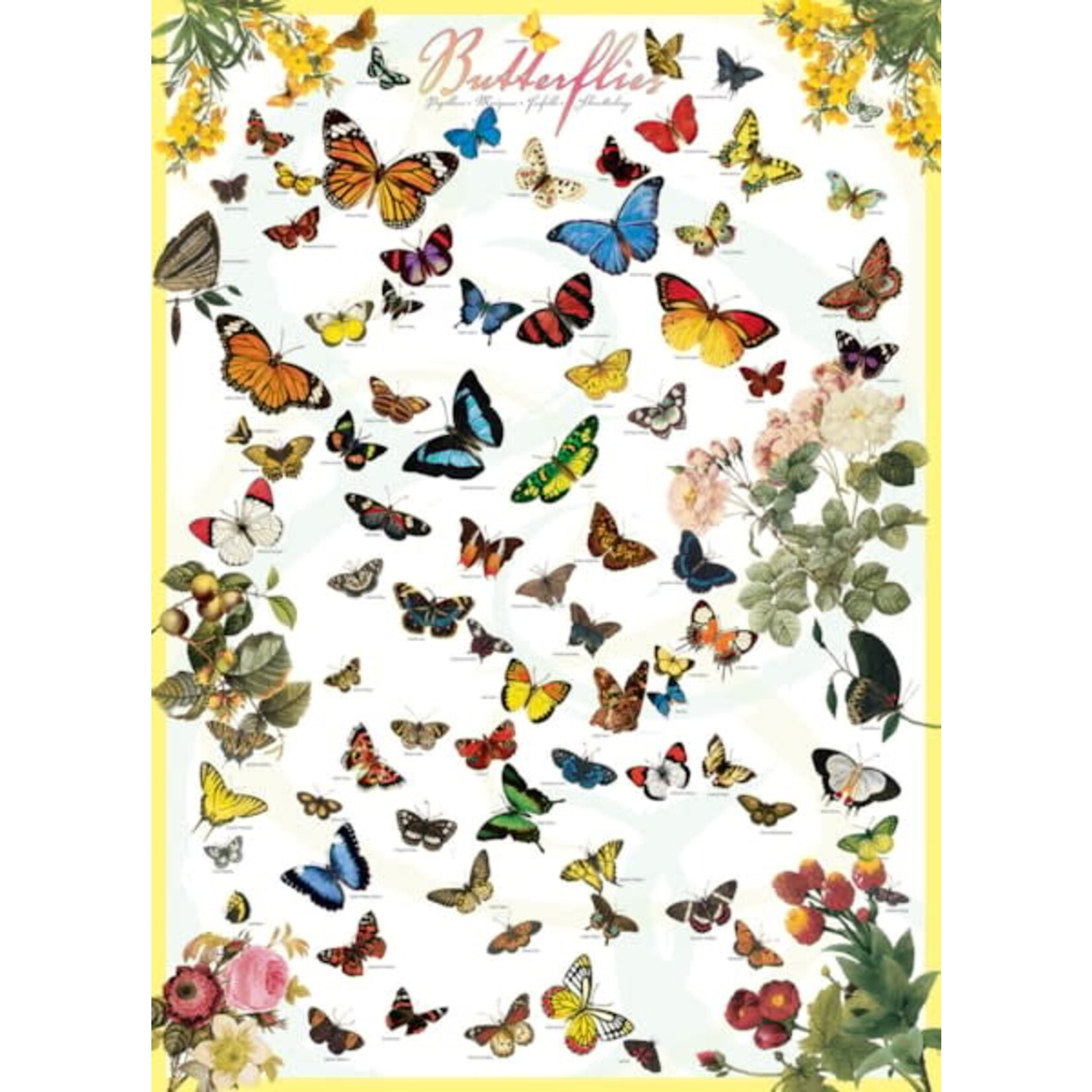 Eurographics Butterflies