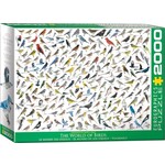 Eurographics The World of Birds