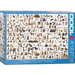 Eurographics The World of Dogs