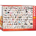 Eurographics The World of Cats