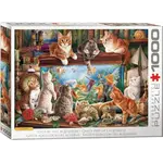 Eurographics Cats by the Aquarium