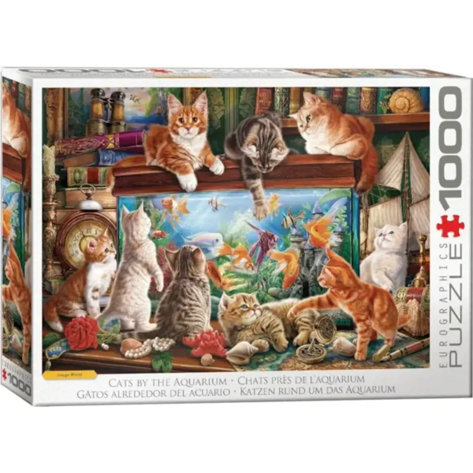 Eurographics Cats by the Aquarium