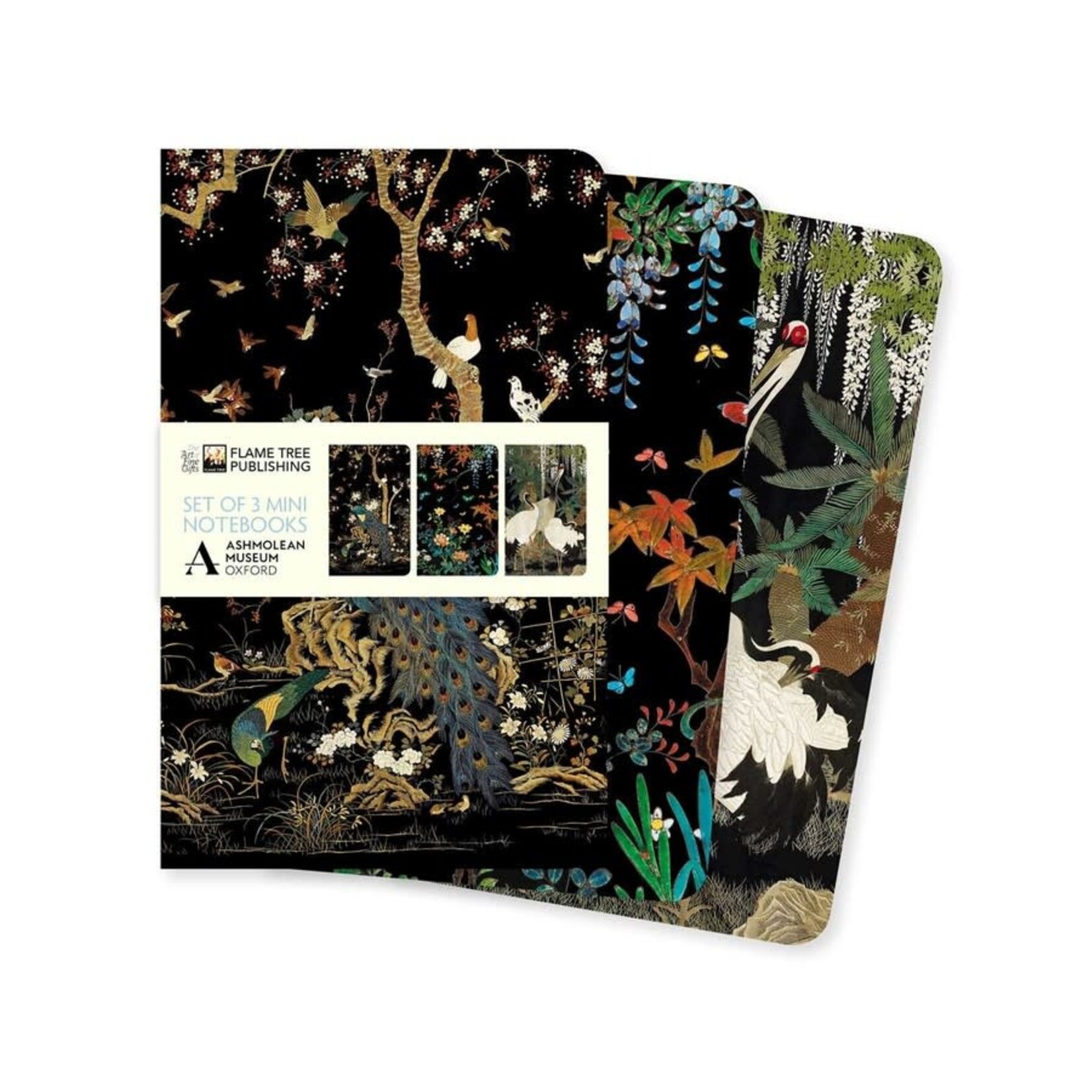 Ashmolean Museum Set of 3 Mini Notebooks
