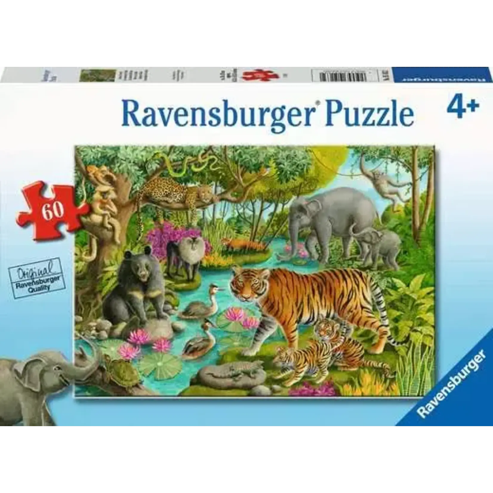 Ravensburger Animals of India