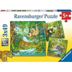 Ravensburger Jungle Fun