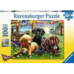 Ravensburger Puppy Picnic