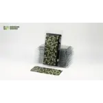 Gamers Grass Laser Plants Bugloss