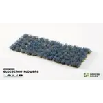 Gamers Grass Bluebeard Flowers