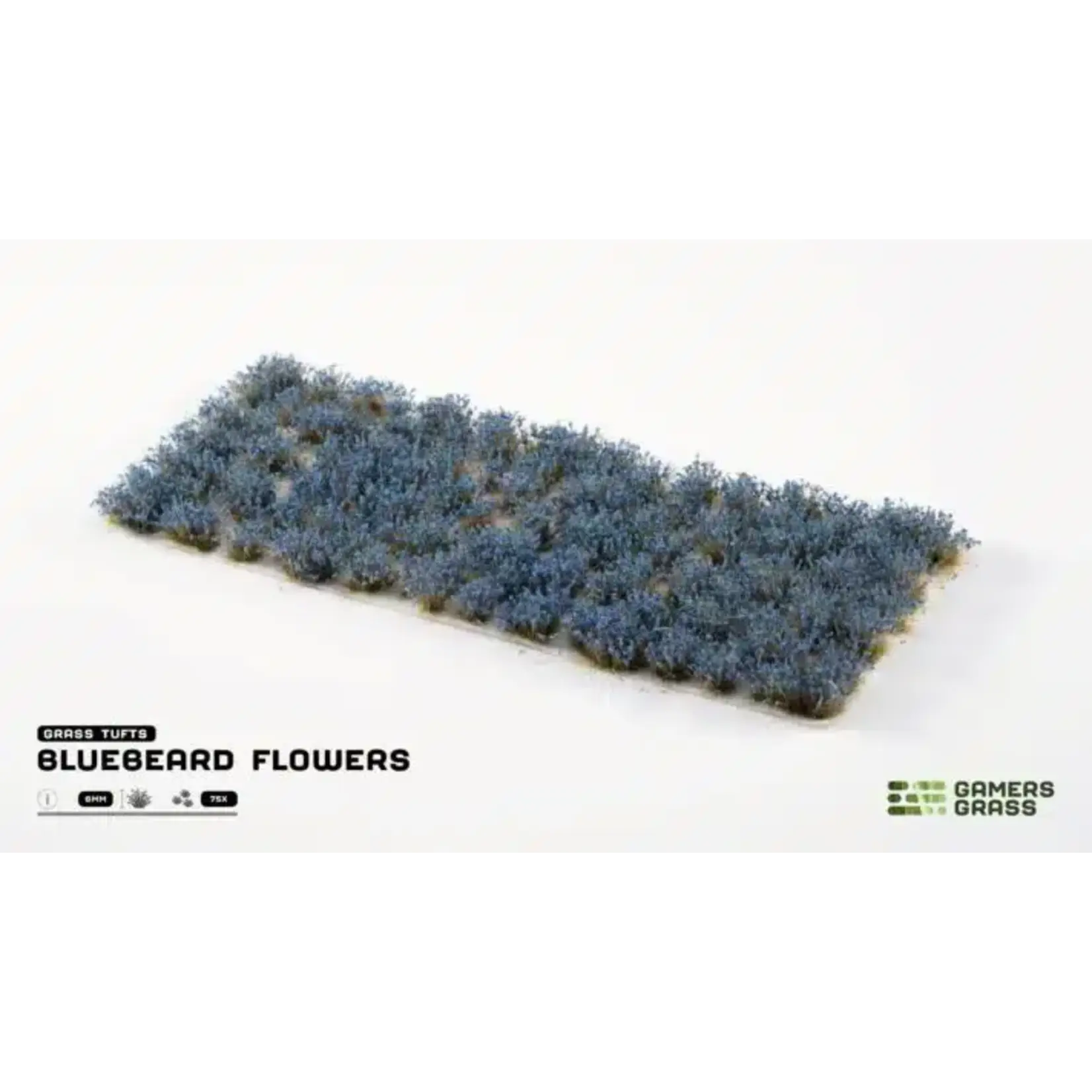 Gamers Grass Bluebeard Flowers