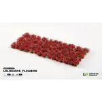 Gamers Grass Laliguras Flowers