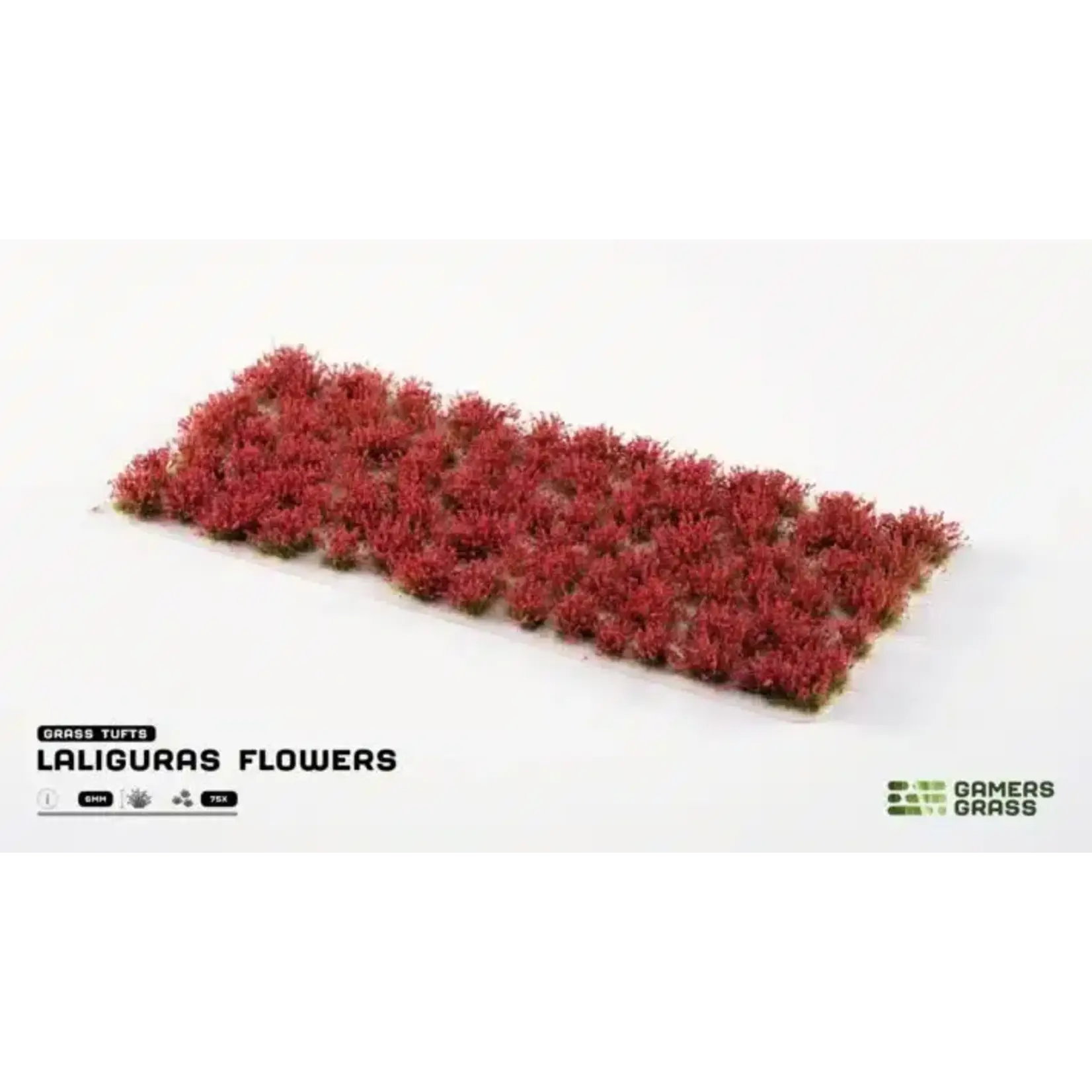 Gamers Grass Laliguras Flowers