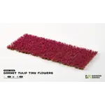 Gamers Grass Garnet Tulip Tiny Flowers
