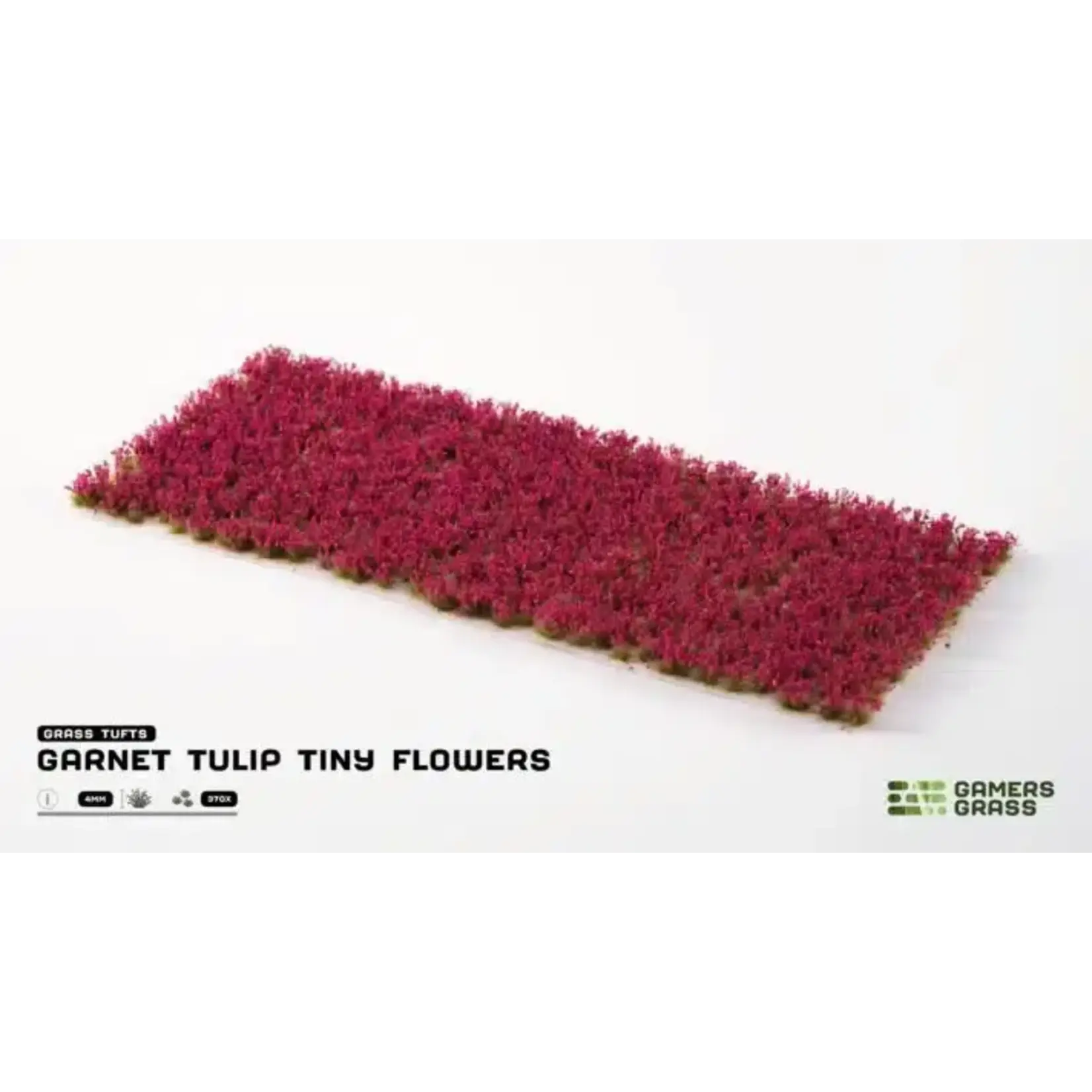 Gamers Grass Garnet Tulip Tiny Flowers