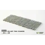 Gamers Grass Forget-me-not Tiny Flowers