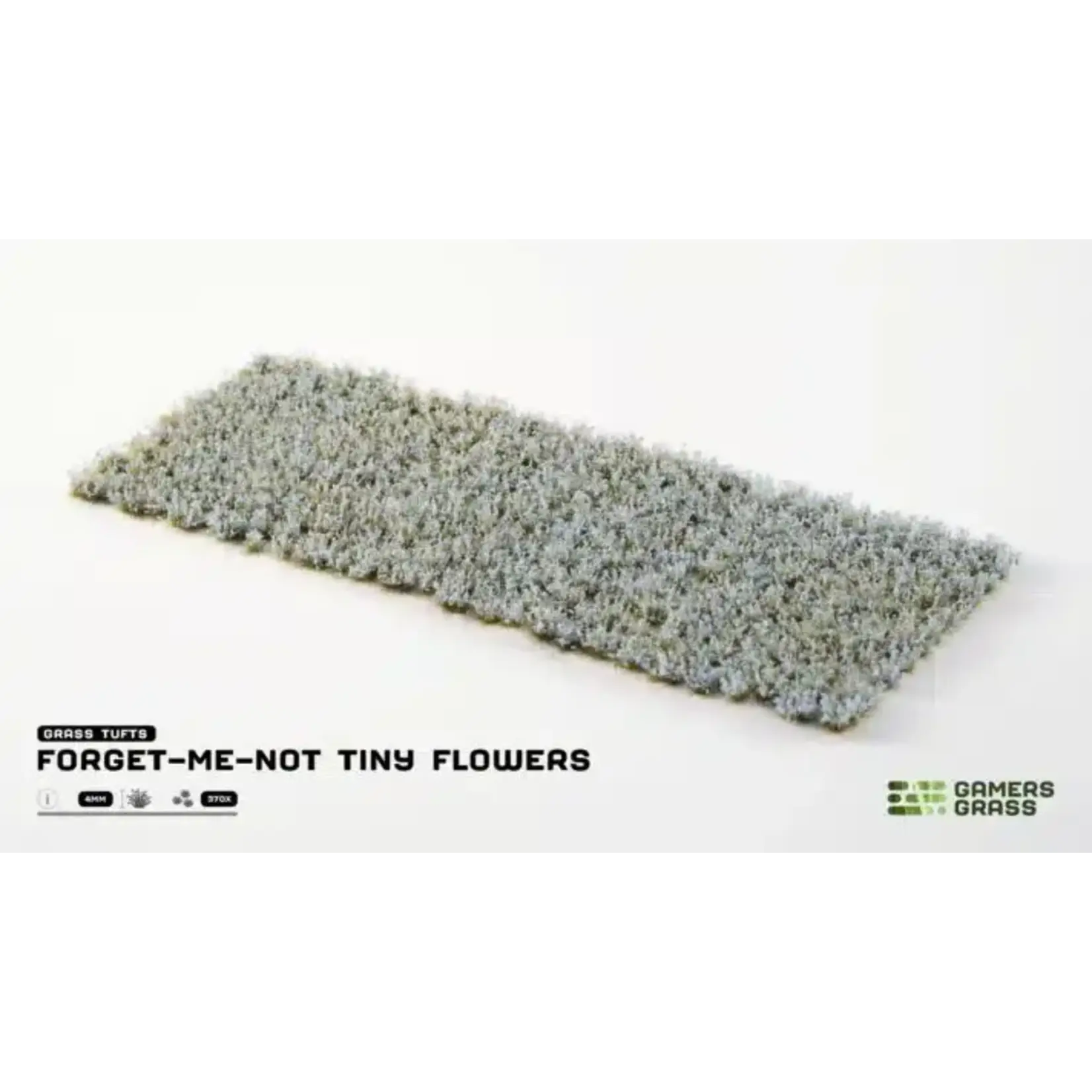 Gamers Grass Forget-me-not Tiny Flowers