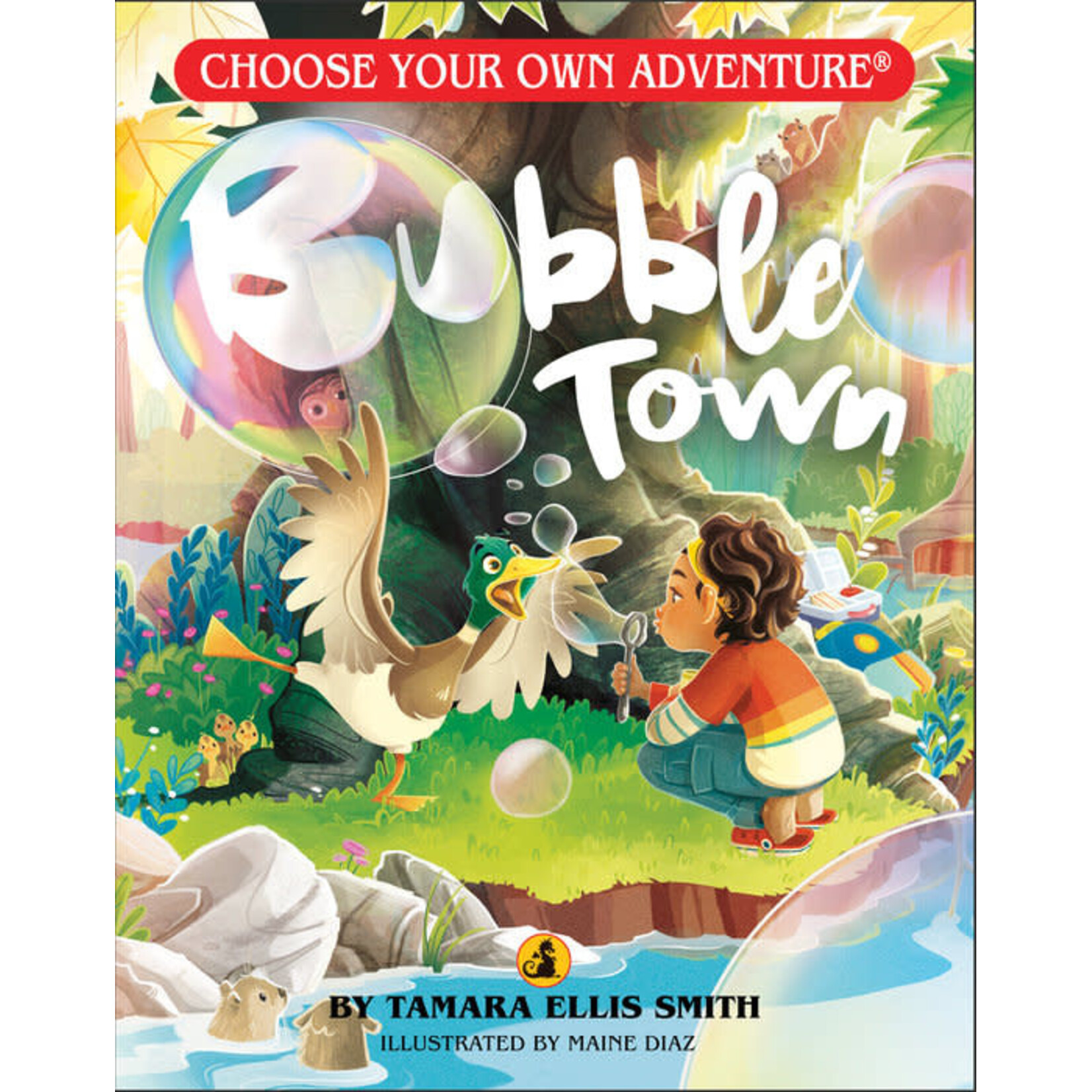 Choose Your Own Adventure Bubble Town
