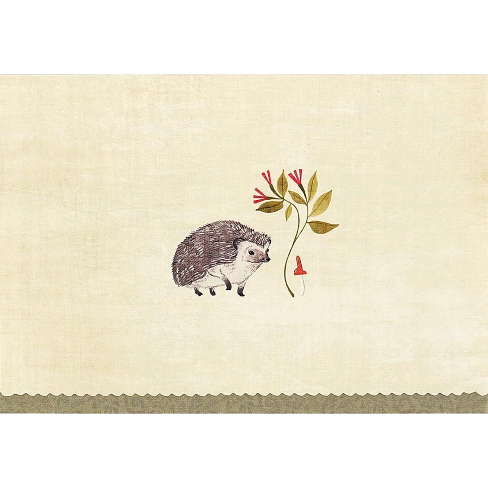 Peter Pauper Press Hedgehog Note Cards