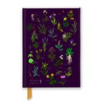 Anna Stead For Spells & Potions (Foiled Journal)
