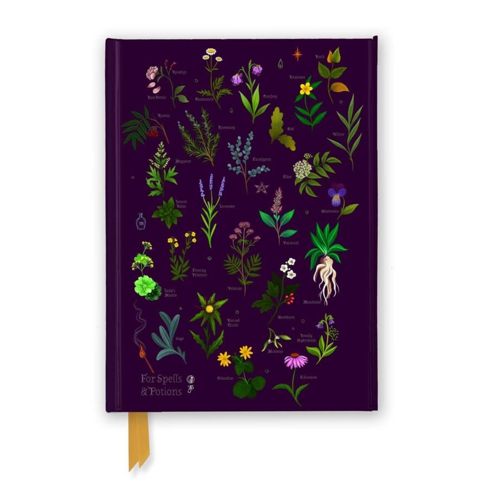 Anna Stead For Spells & Potions (Foiled Journal)