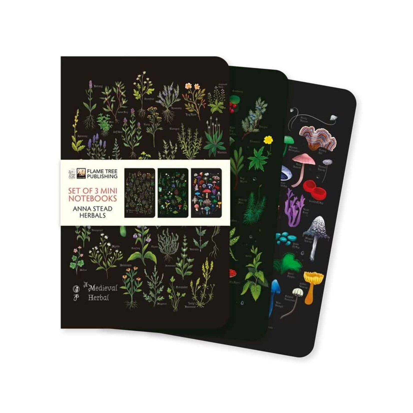 Anna Stead Herbals Set of 3 Mini Notebooks