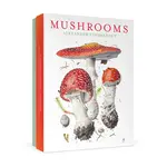 Pomegranate Mushrooms Alexander Viazmensky Boxed Notecard Assortment