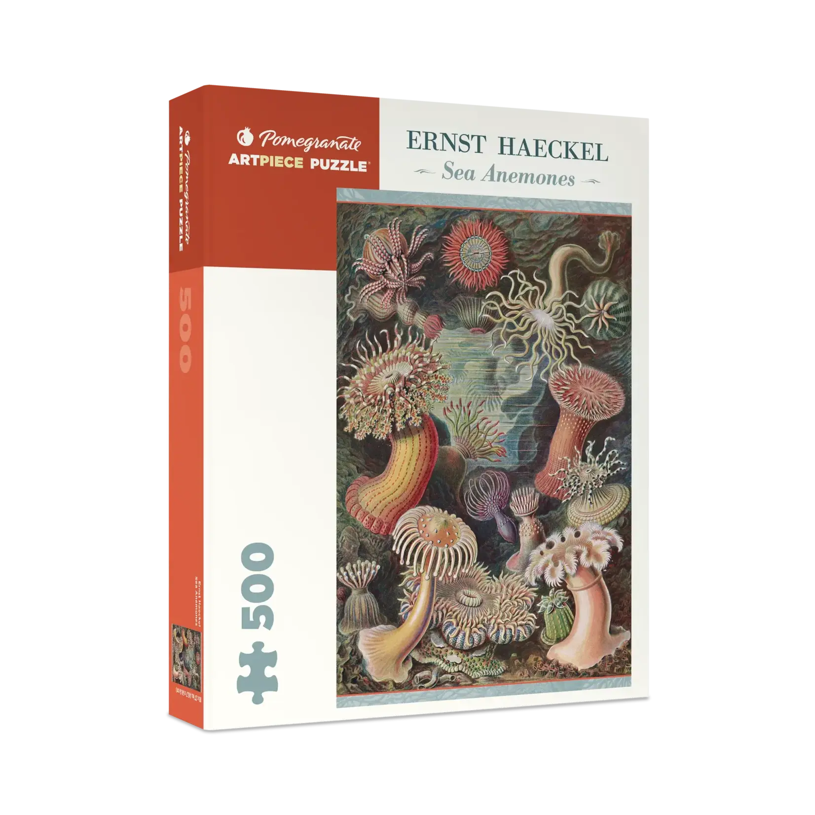 Pomegranate Ernst Haeckel Sea Anemones 500-Piece Jigsaw Puzzle