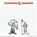 Human Druid and Elf Sorcerer